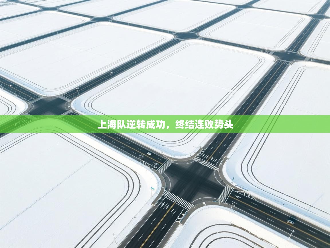 上海队逆转成功，终结连败势头  第2张