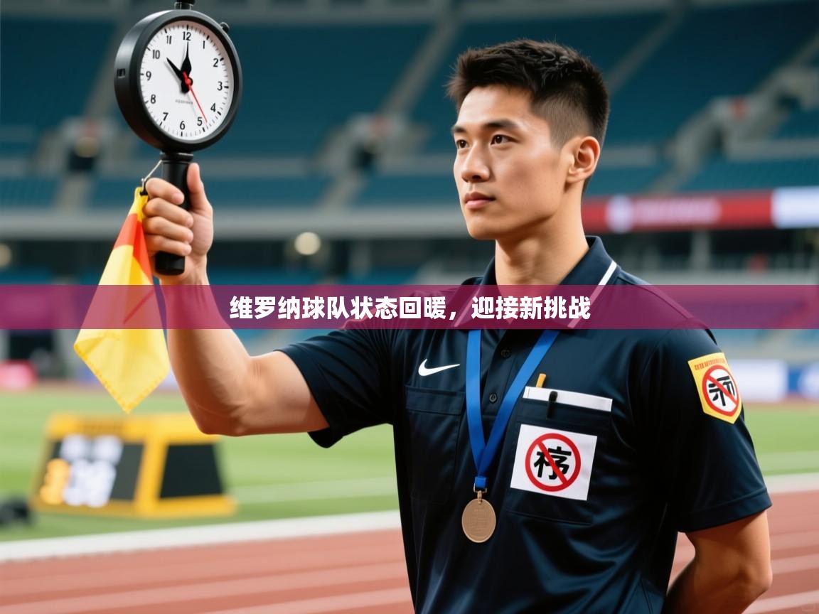 维罗纳球队状态回暖，迎接新挑战  第1张