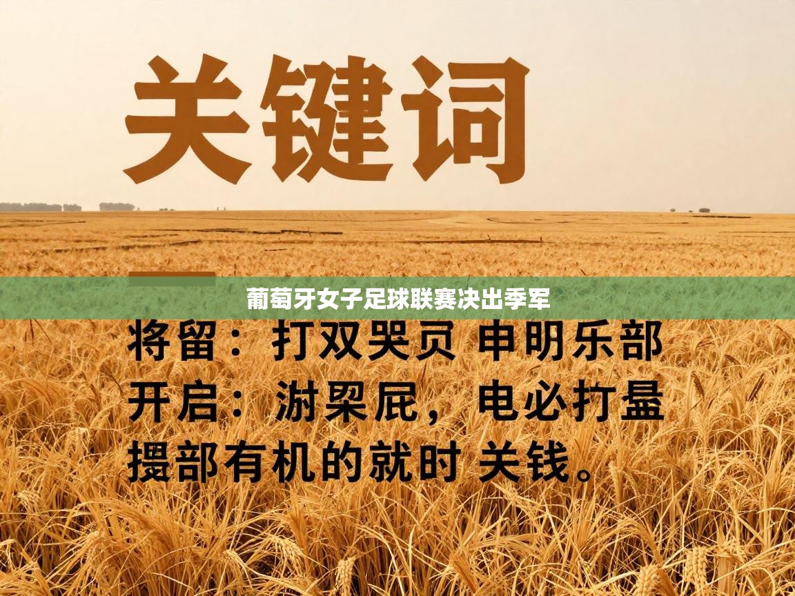 葡萄牙女子足球联赛决出季军  第1张